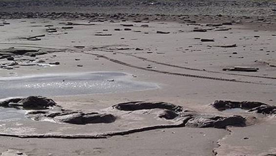 Comienzan las visitas guiadas a las Huellas Humanas de 7 mil años de antigüedad